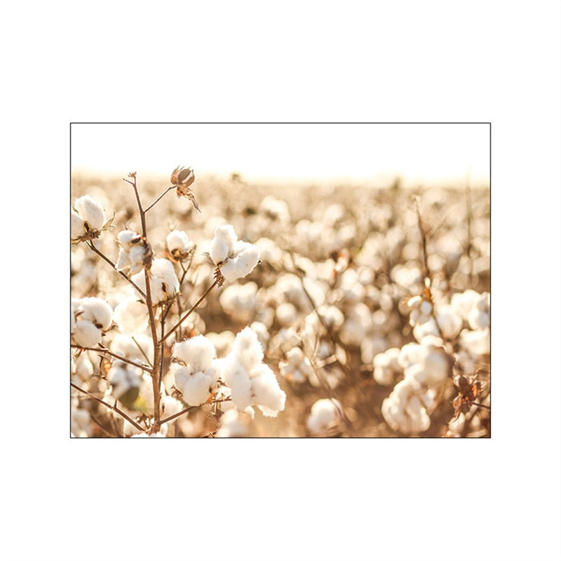 Arthia Designs - Autumn Sunlight Paddy Field Canvas Art - Review