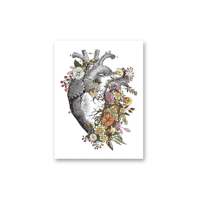 Arthia Designs - Vintage Anatomie Florale Canvas Art - Review