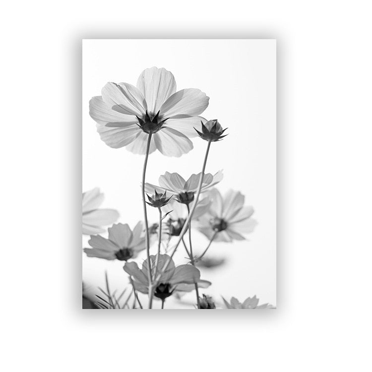 Arthia Designs - Black White Feather Dandelion Canvas Art - Review