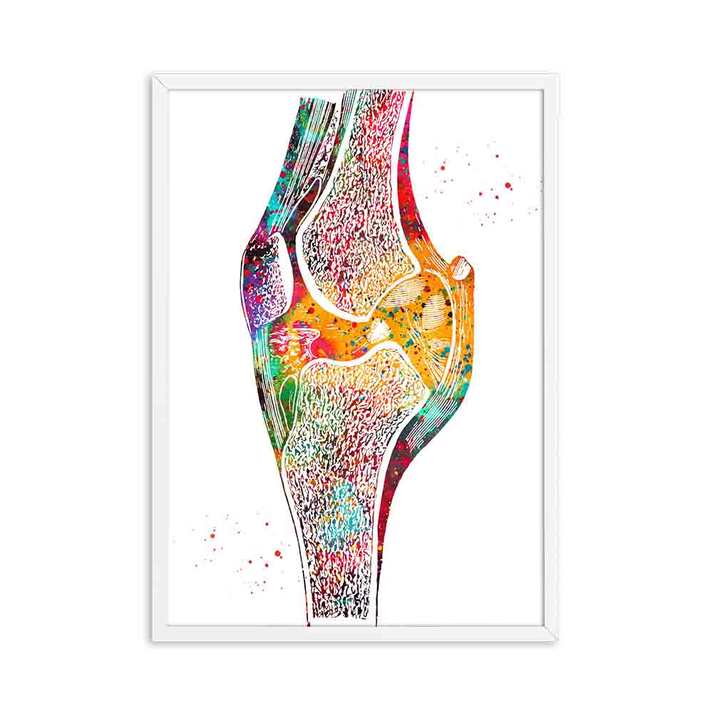 Arthia Designs - Colorful Human Anatomy Canvas Art - Review