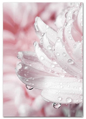 Arthia Designs - Modern Blooming Pink Flower Canvas Art - Review