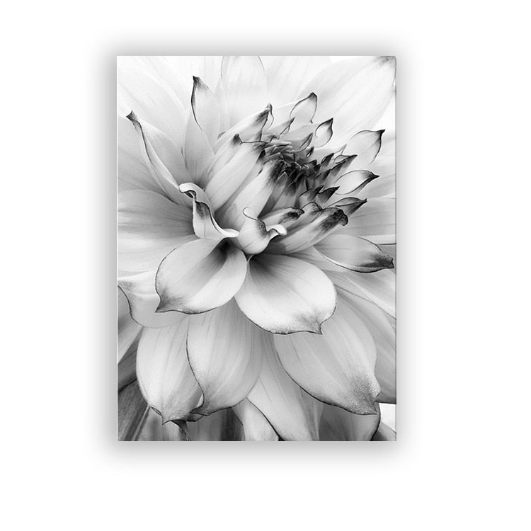 Arthia Designs - Black White Feather Dandelion Canvas Art - Review