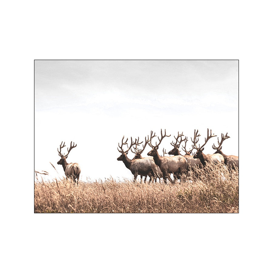 Arthia Designs - Autumn Dandelion Deer Canvas Art - Review