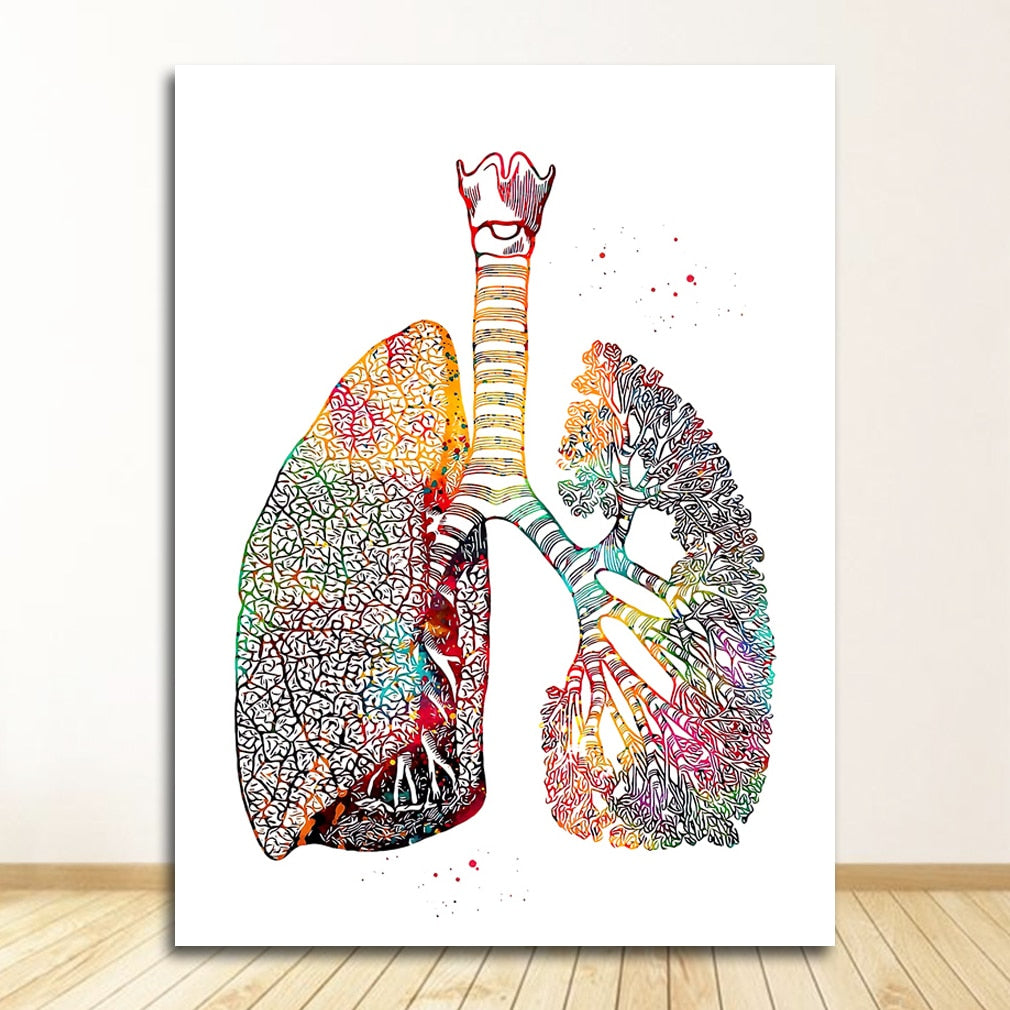 Arthia Designs - Human Anatomy Systems Canvas Art - Review