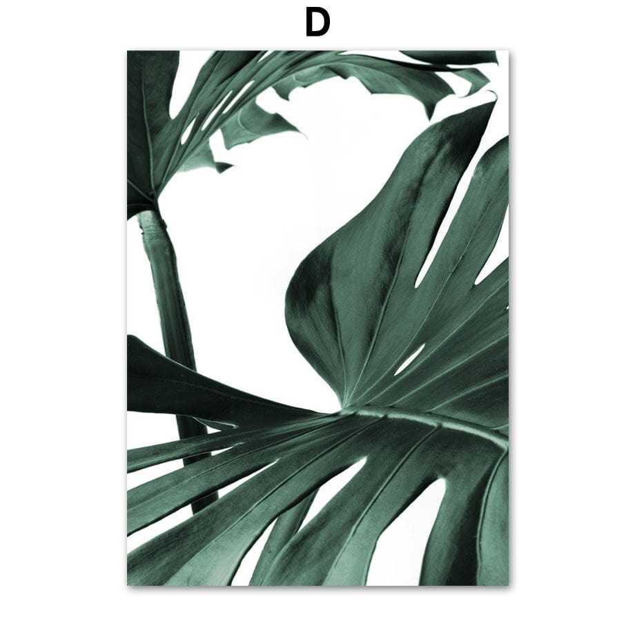 Arthia Designs - Monstera Cactus Plants Canvas Art - Review