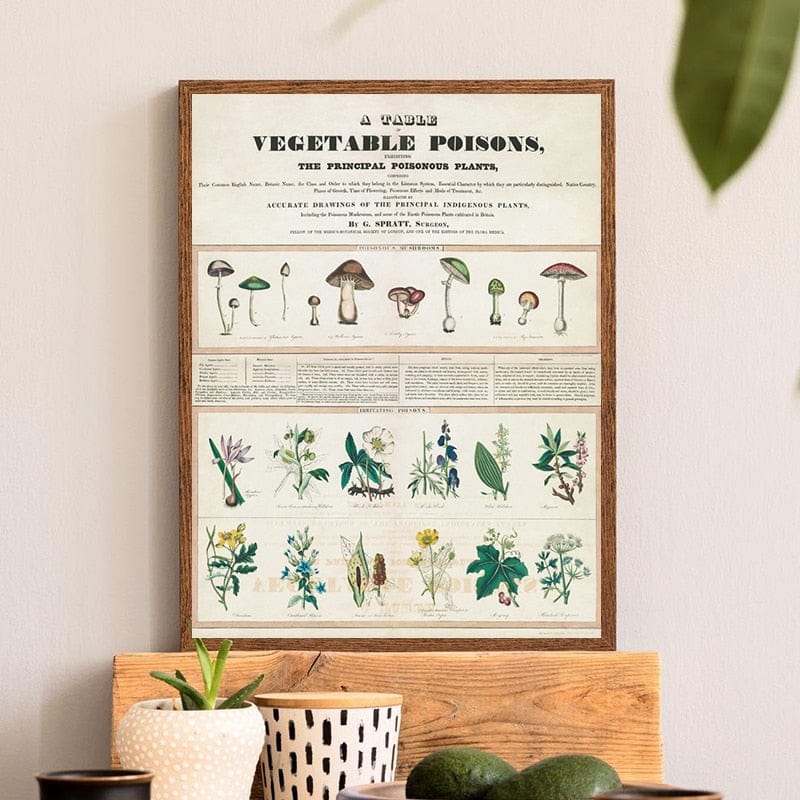 Arthia Designs - A Table of Vegetable Poisons Canvas Art - Review