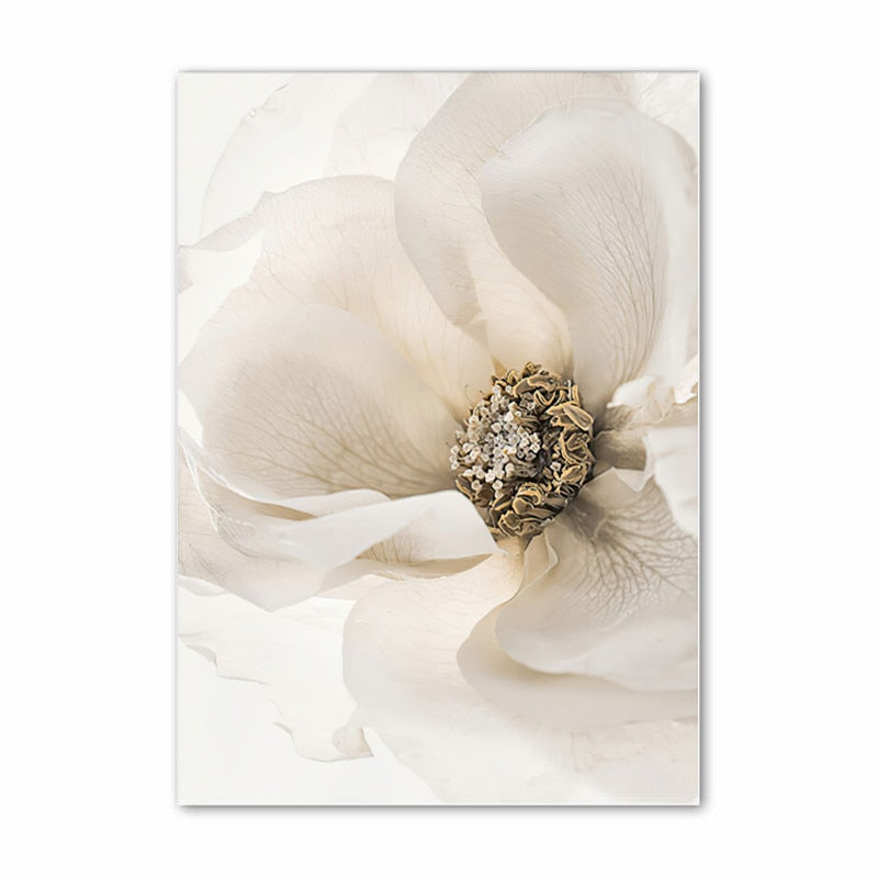 Arthia Designs - White Shell Beach Flower Canvas Art - Review