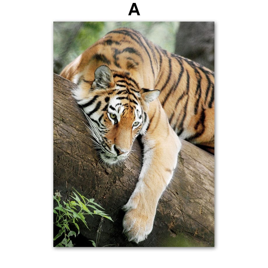 Arthia Designs - Nature Wild Forest Animal Canvas Art - Review