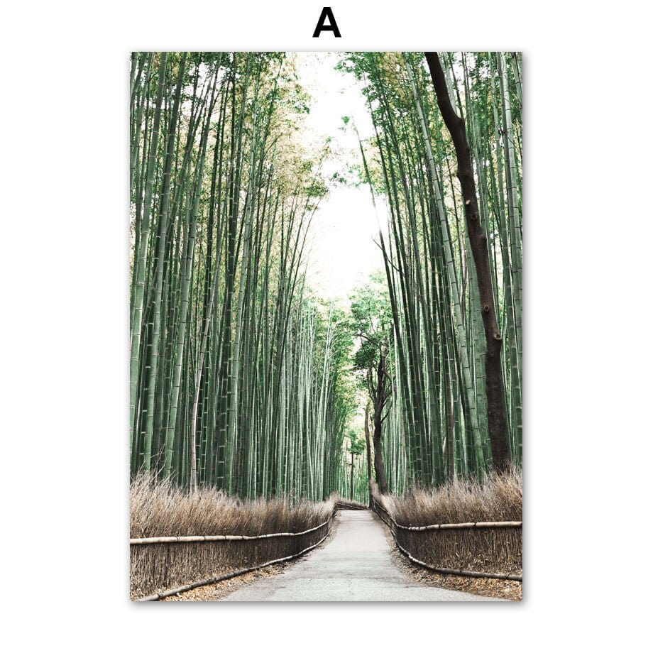 Arthia Designs - Bamboo Forest Waterfall Canvas Art - Review