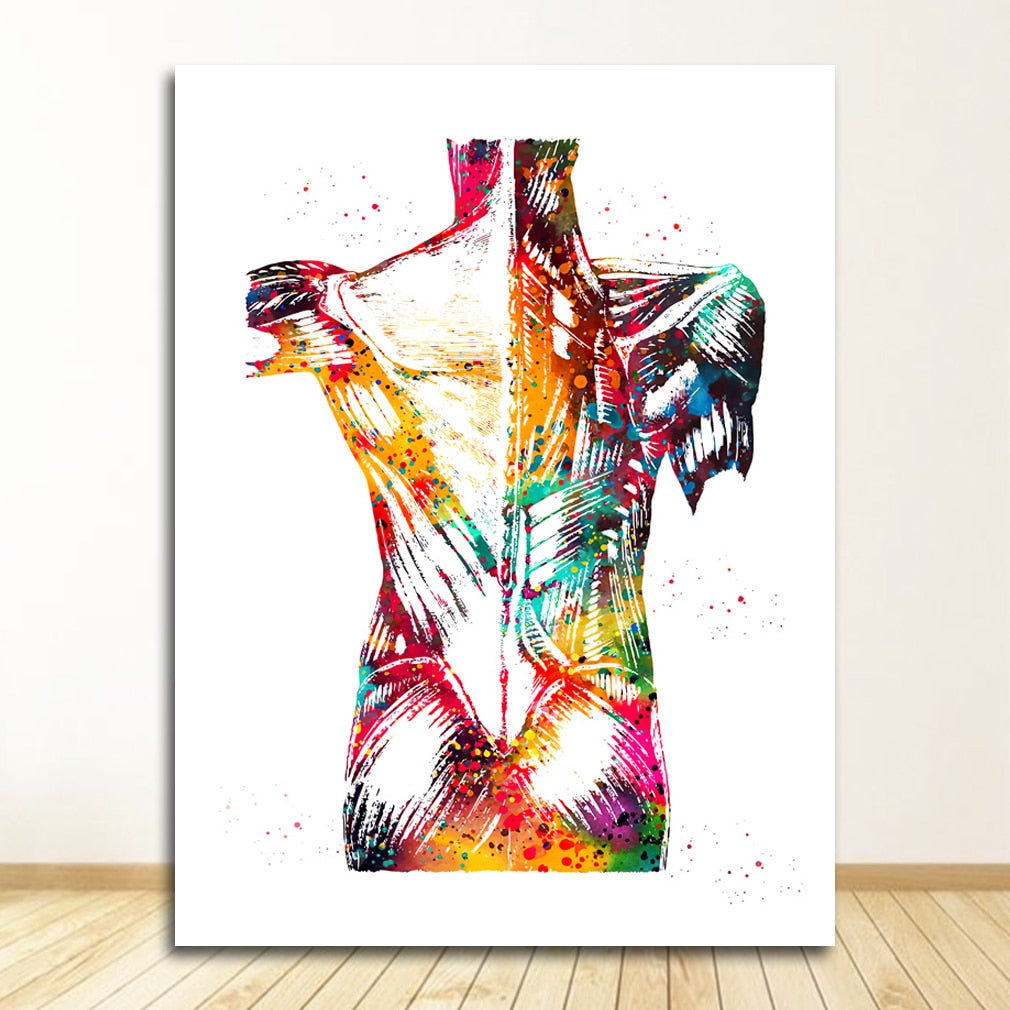 Arthia Designs - Human Anatomy Systems Canvas Art - Review