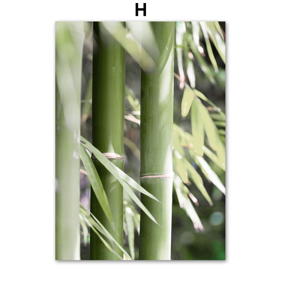 Arthia Designs - Bamboo Green Forest Beach Canvas Art - Review