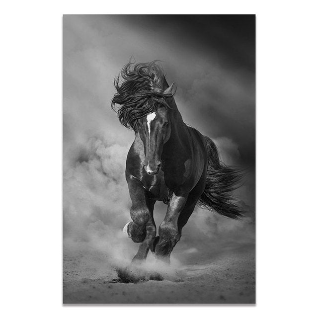 Arthia Designs - Black and White Wild Animal Canvas Art - Review