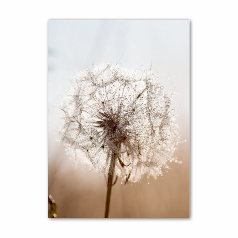 Arthia Designs - Khaki Dandelion Nature Scenery Canvas Art - Review