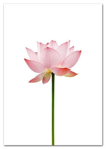 Arthia Designs - Modern Blooming Pink Flower Canvas Art - Review