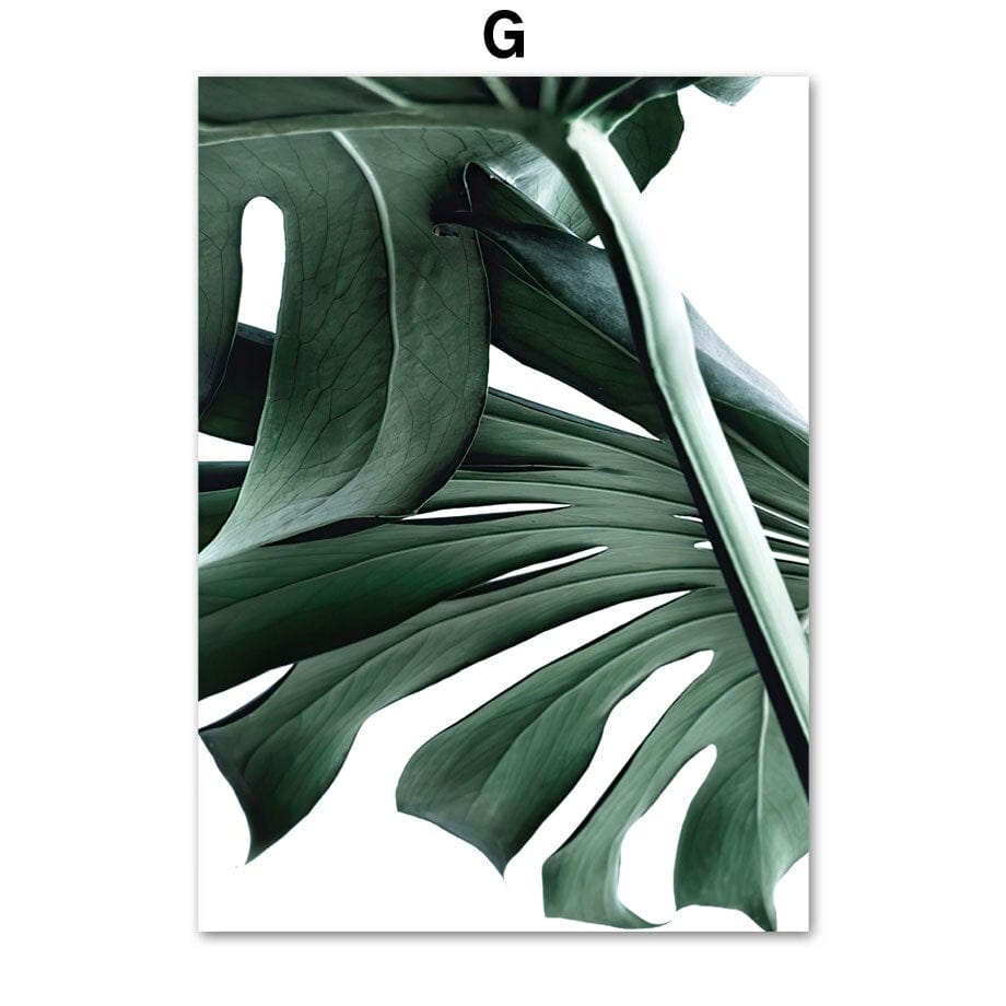 Arthia Designs - Monstera Cactus Plants Canvas Art - Review