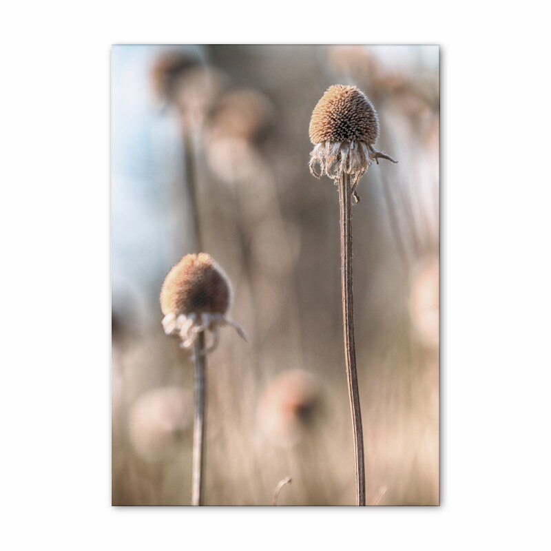 Arthia Designs - Khaki Dandelion Nature Scenery Canvas Art - Review