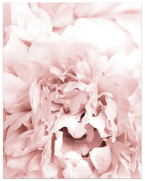 Arthia Designs - Modern Blooming Pink Flower Canvas Art - Review