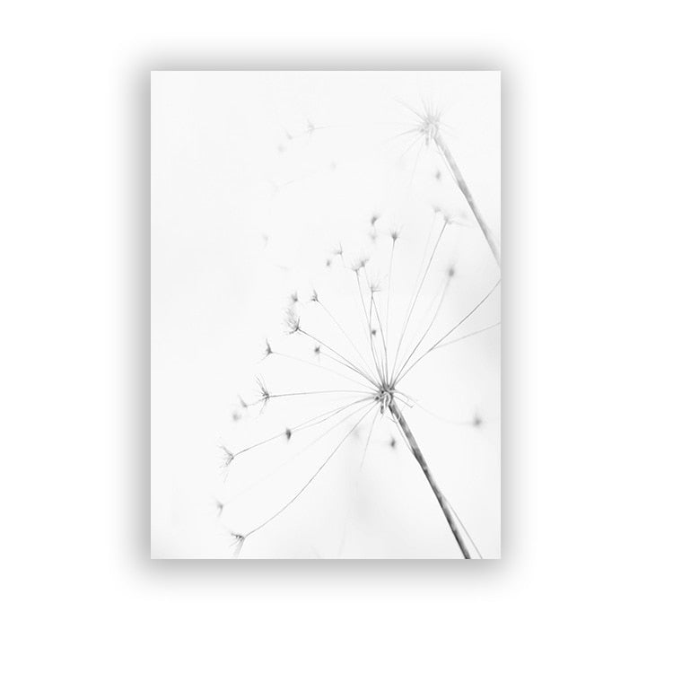 Arthia Designs - Black White Feather Dandelion Canvas Art - Review