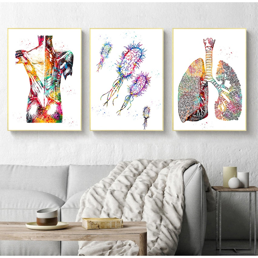 Arthia Designs - Human Anatomy Systems Canvas Art - Review