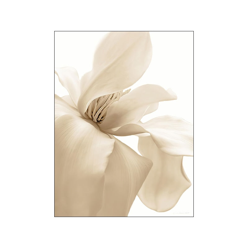 Arthia Designs - White Flower Natural Sunset Canvas Art - Review