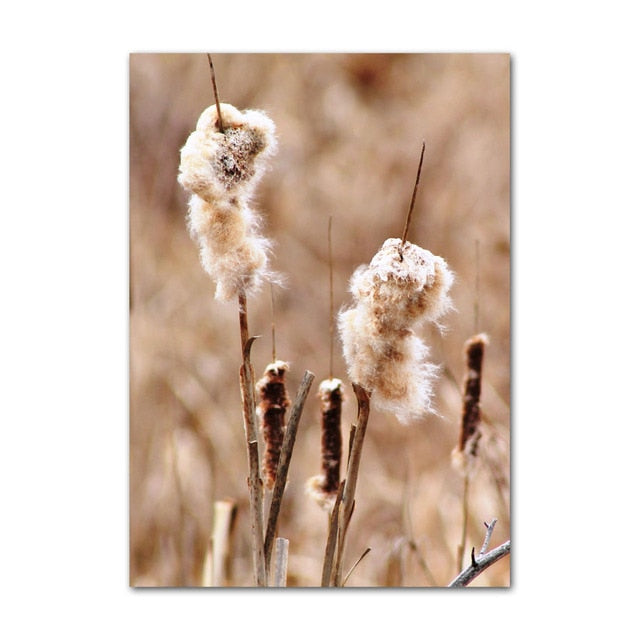 Arthia Designs - Calm Lake Dandelion Flower Canvas Art - Review