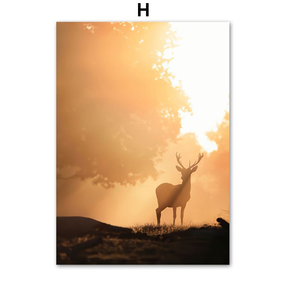 Arthia Designs - Sunset In Forest Lake Canvas Art - Review