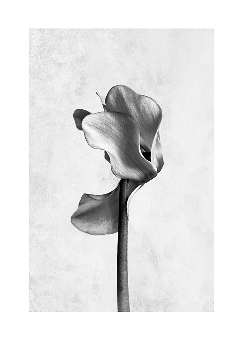 Arthia Designs - Abstract Watercolor Black White Canvas Art - Review