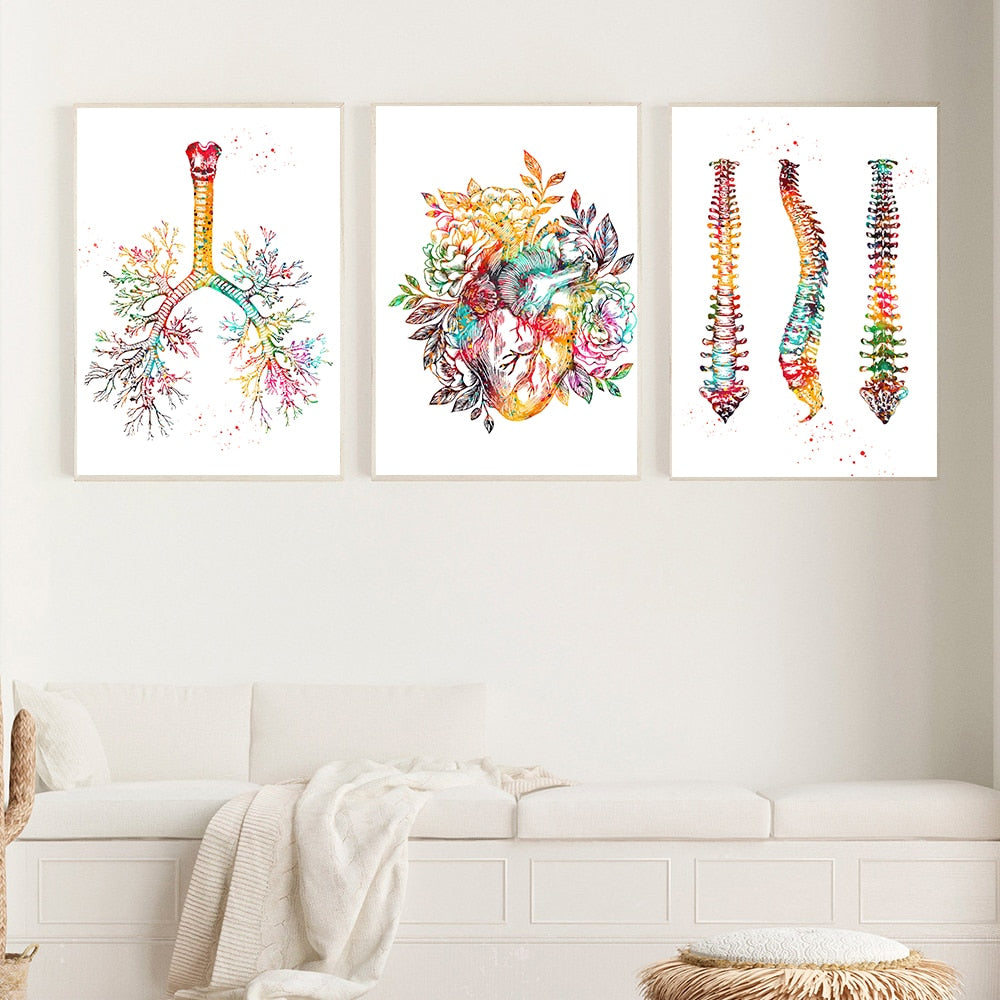 Arthia Designs - Colorful Human Anatomy Canvas Art - Review