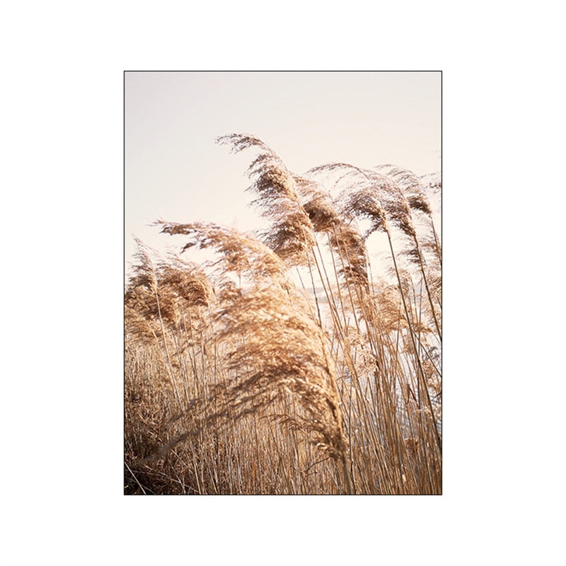 Arthia Designs - Autumn Sunlight Paddy Field Canvas Art - Review