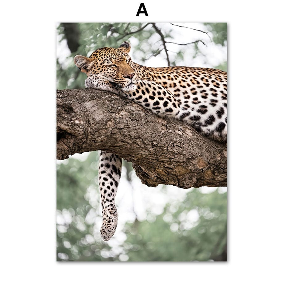 Arthia Designs - Amazon Rainforest Canvas Art - Review