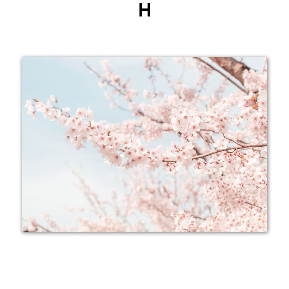 Arthia Designs - French Pink Sakura Canvas Art - Review