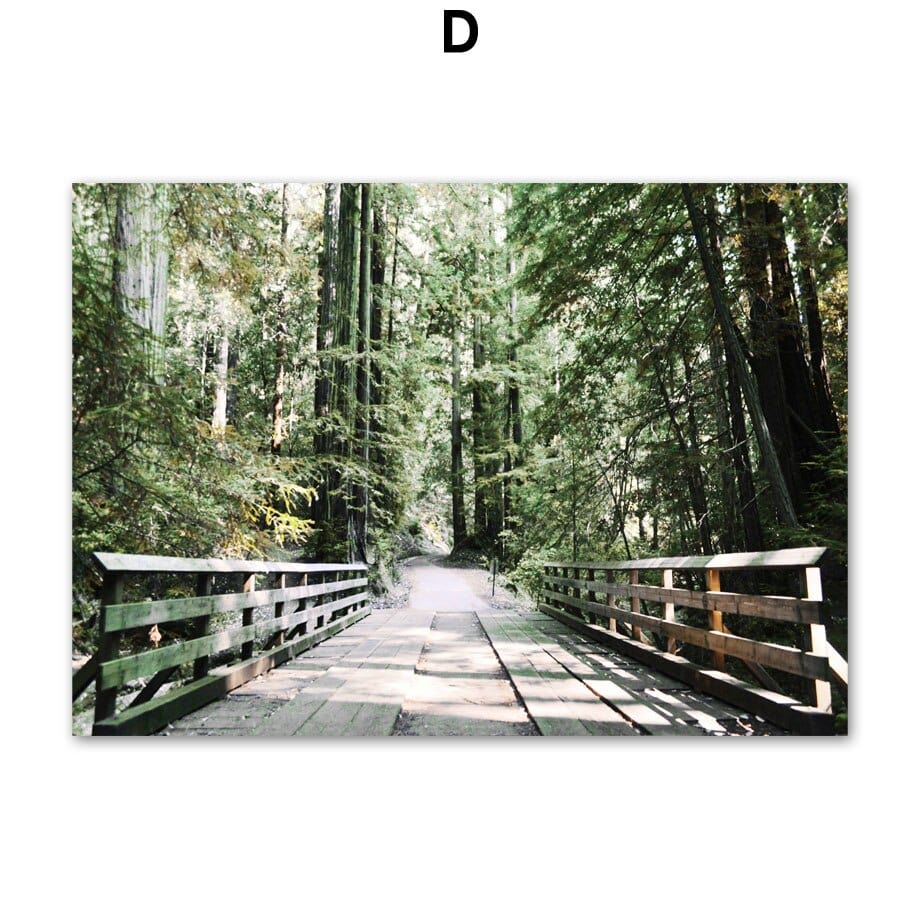 Arthia Designs - Deer Forest Walk Gallery Wall Canvas Art - Review