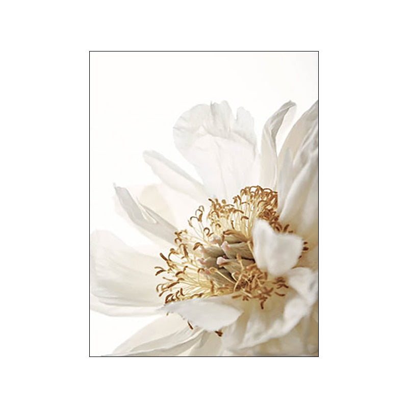 Arthia Designs - White Flower Natural Sunset Canvas Art - Review