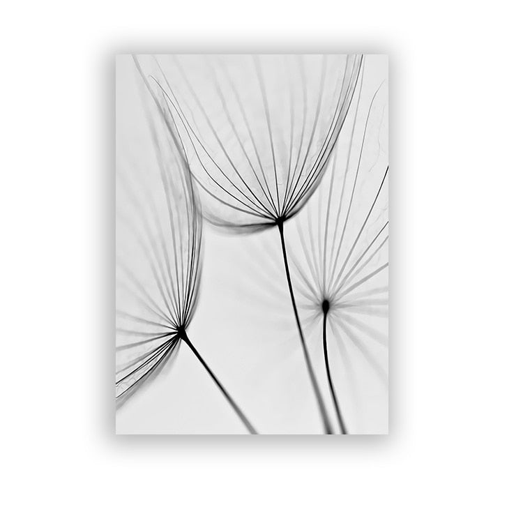 Arthia Designs - Black White Feather Dandelion Canvas Art - Review