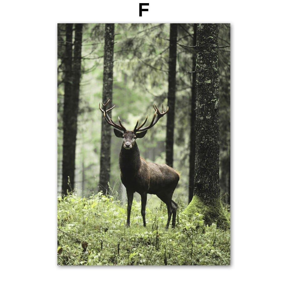 Arthia Designs - Nature Wild Forest Animal Canvas Art - Review