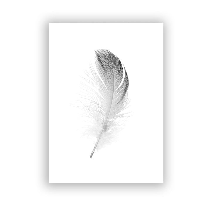 Arthia Designs - Black White Feather Dandelion Canvas Art - Review