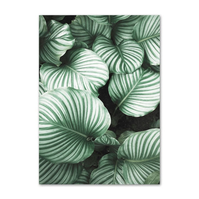 Arthia Designs - Green Orchid Flowers Canvas Art - Review