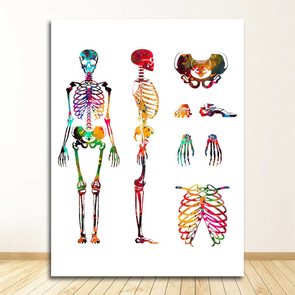 Arthia Designs - Human Anatomy Systems Canvas Art - Review