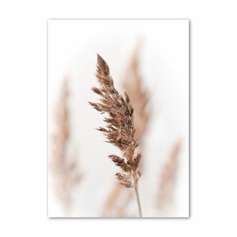 Arthia Designs - Khaki Dandelion Nature Scenery Canvas Art - Review