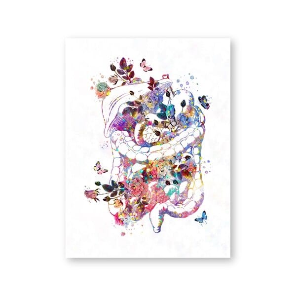 Arthia Designs - Floral Anatomy of Pregnancy Canvas Art - Review