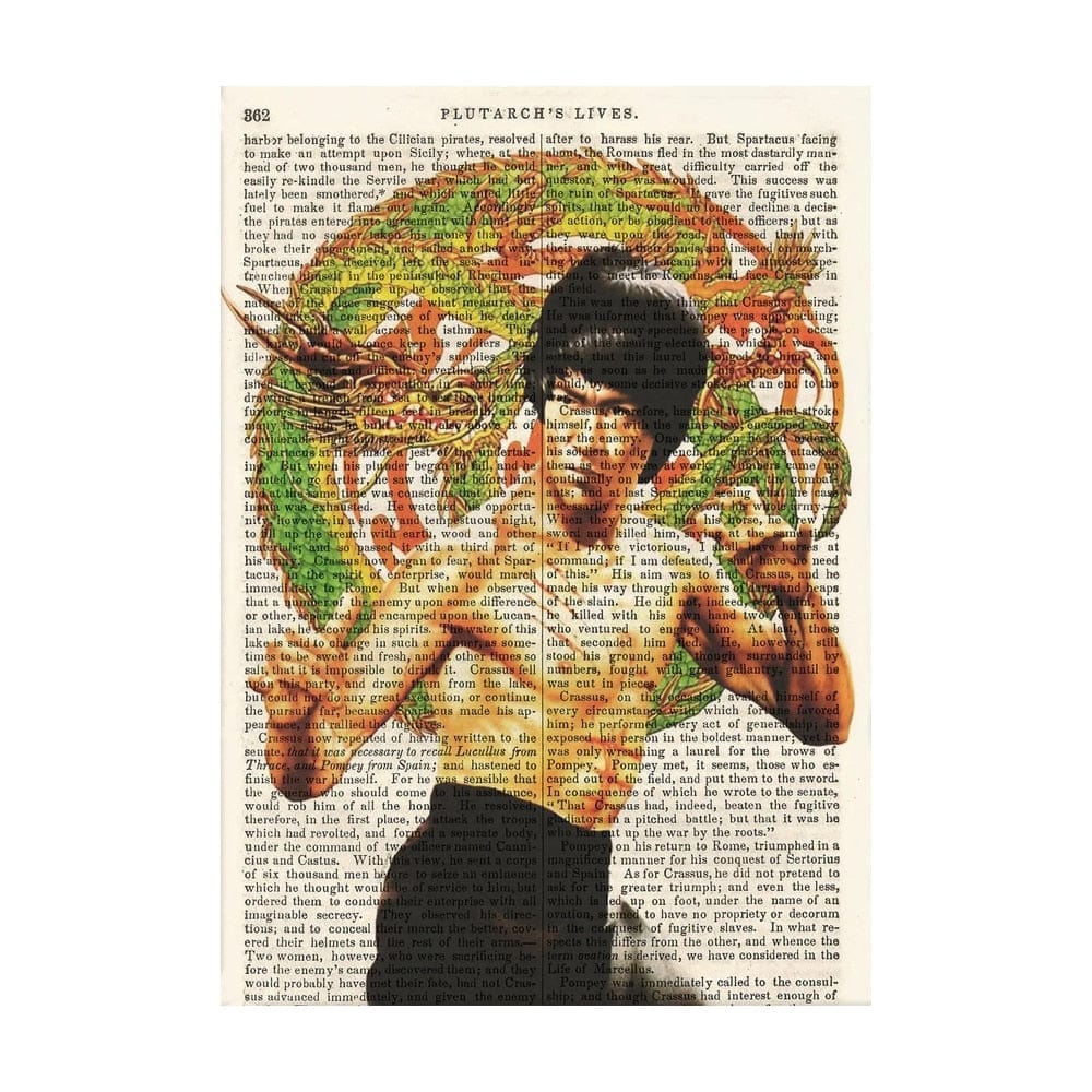 Arthia Designs - Dragon: The Bruce Lee Canvas Art - Review