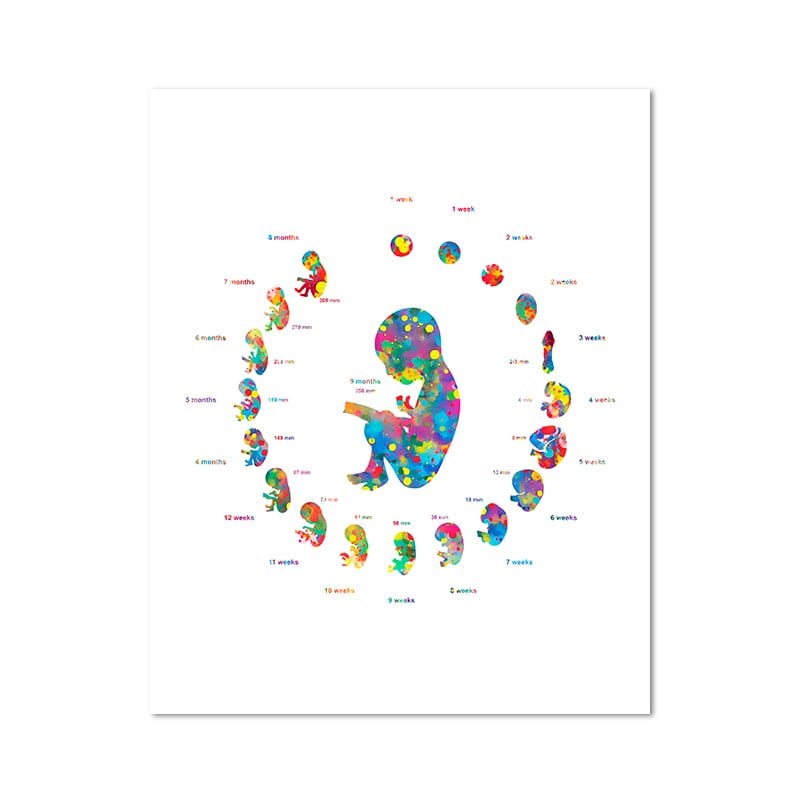 Arthia Designs - Floral Anatomy of Pregnancy Canvas Art - Review