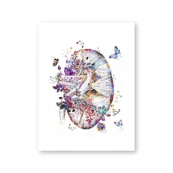 Arthia Designs - Floral Anatomy of Pregnancy Canvas Art - Review